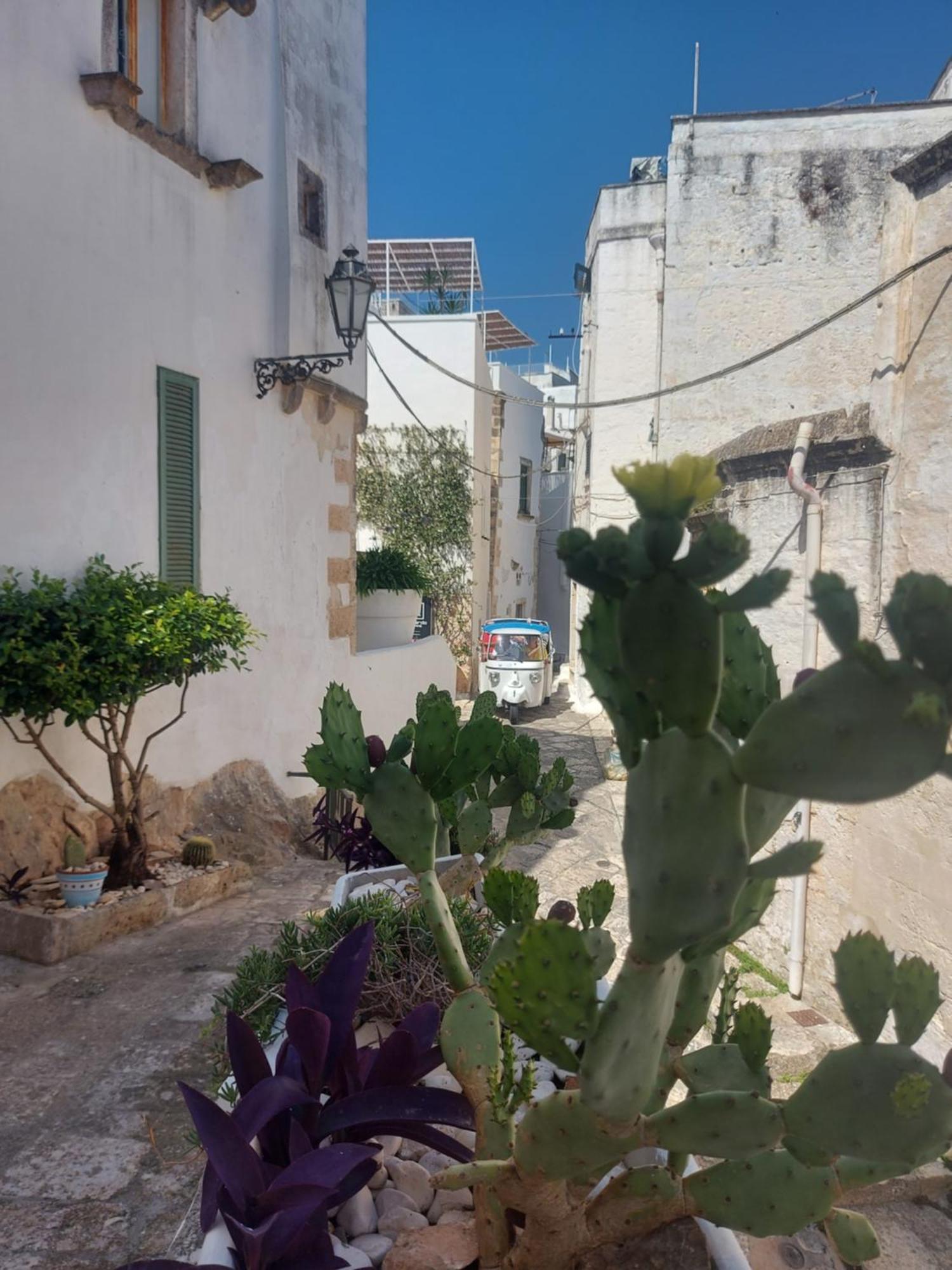 Antica Dimora Flale Apartment Ostuni Exterior foto